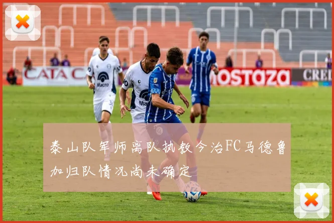 泰山队军师离队执教今治FC马德鲁加归队情况尚未确定