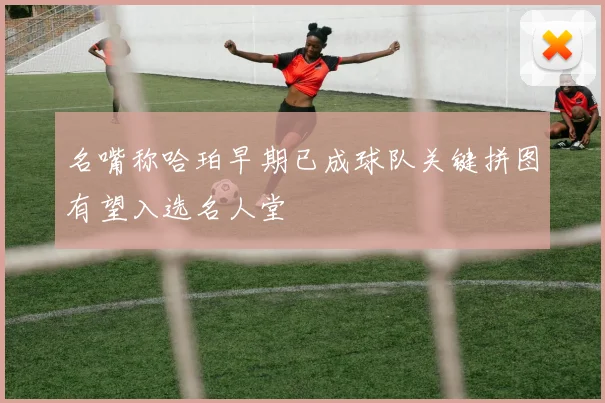 名嘴称哈珀早期已成球队关键拼图有望入选名人堂