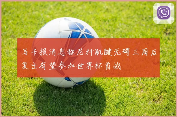 马卡报消息称尼科肌腱无碍三周后复出有望参加世界杯首战